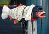 10elvissalmon