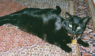 Tituba on her rug